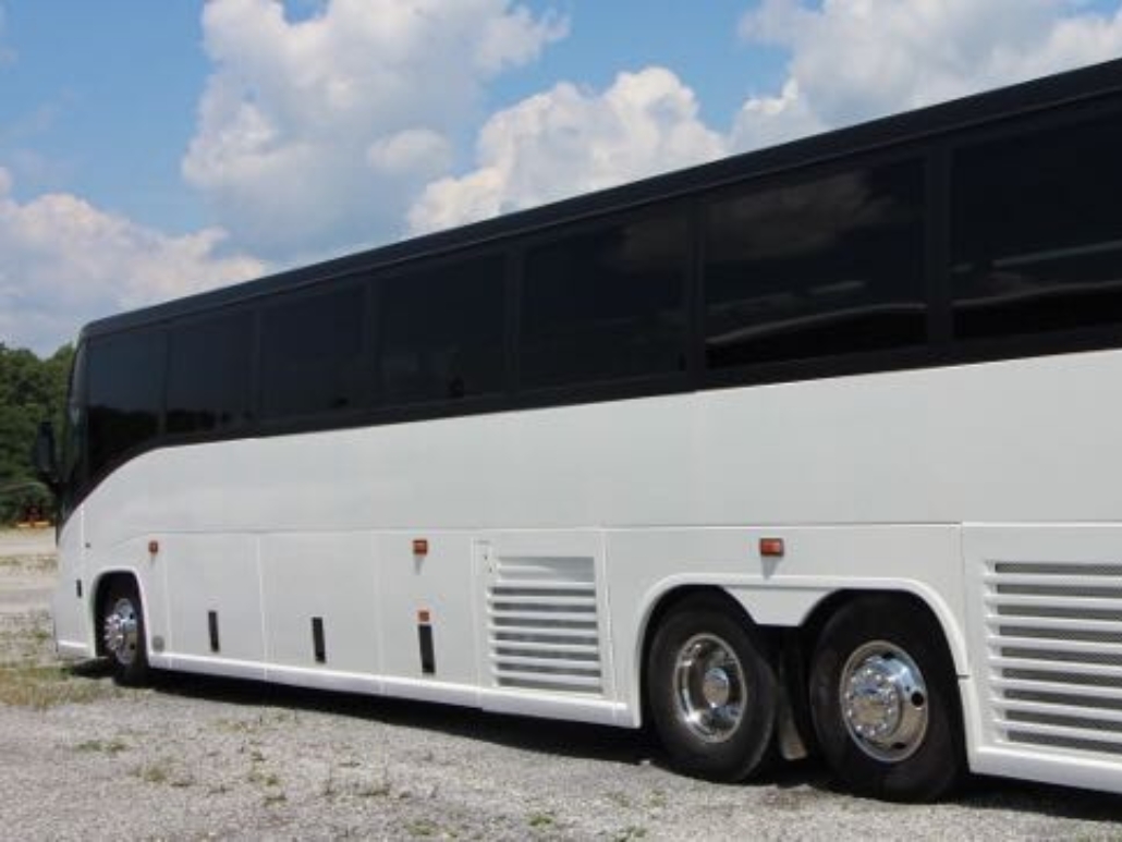 Executive Coach